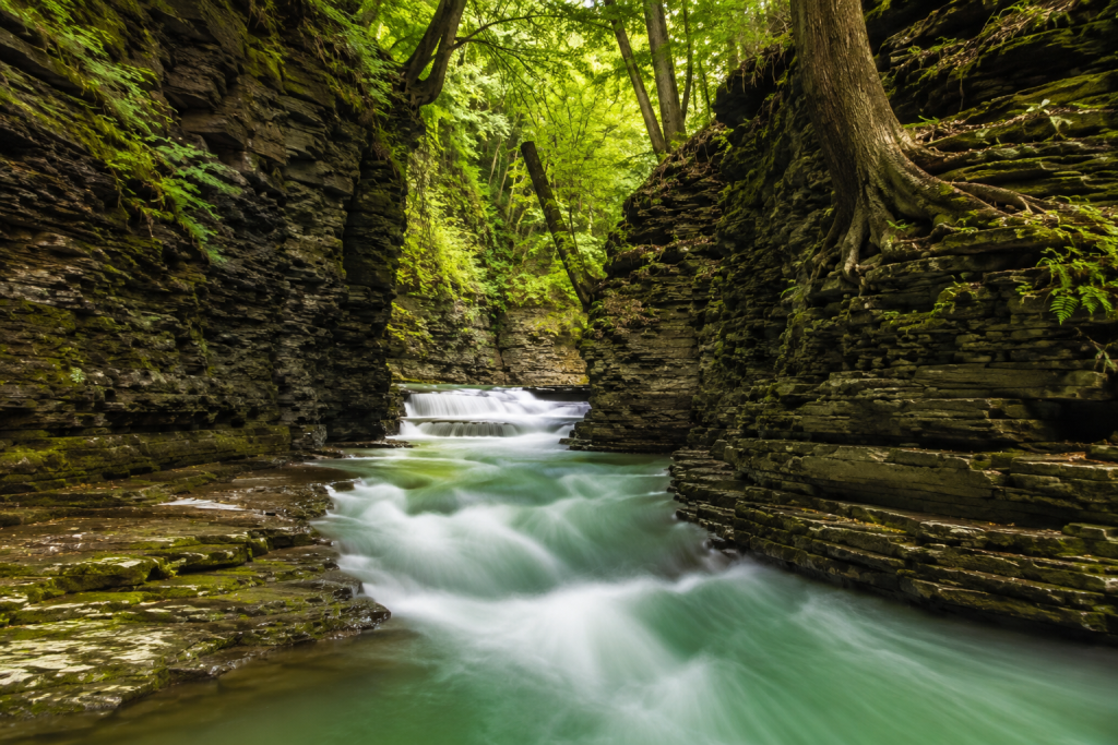 Clifton Gorge State Nature Preserve — A Canyon Hidden in Plain Sight
