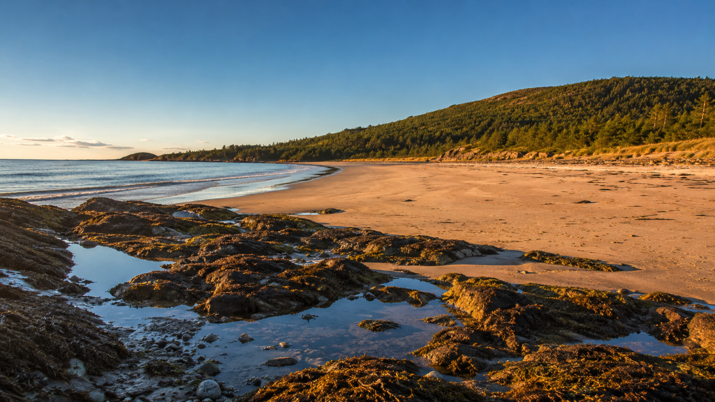 Morse Mountain to Seawall Beach (Phippsburg)