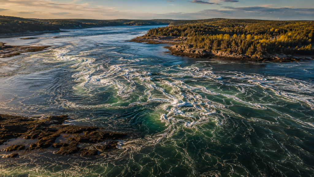 Quoddy Head State Park (Lubec)